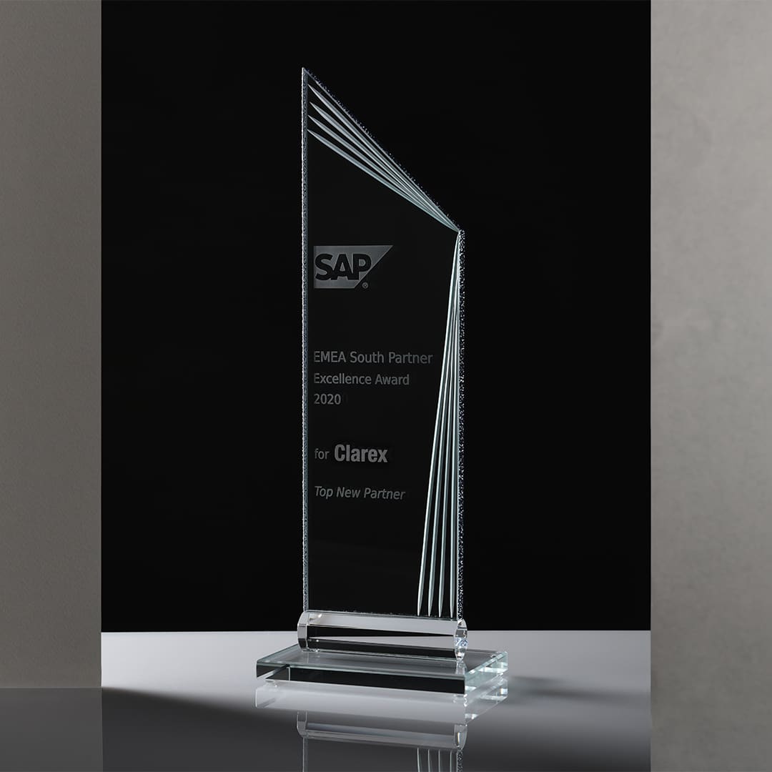 SAP Partner Excellence Award
