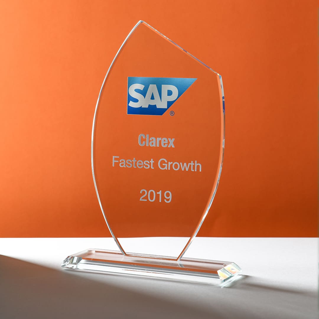 SAP Partner Excellence Award