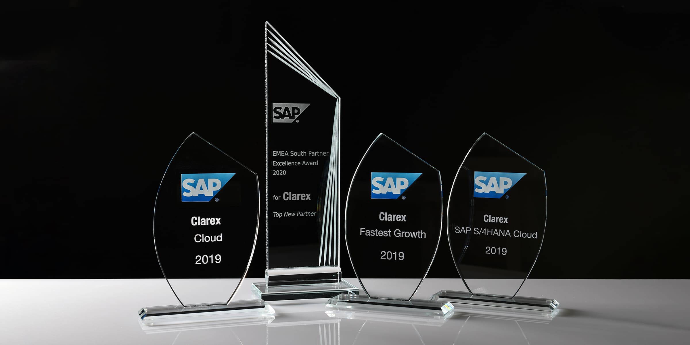 SAP Partner Excellence Award