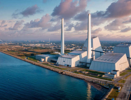 Zero footprint: con il Digitale verso l’azienda sostenibile