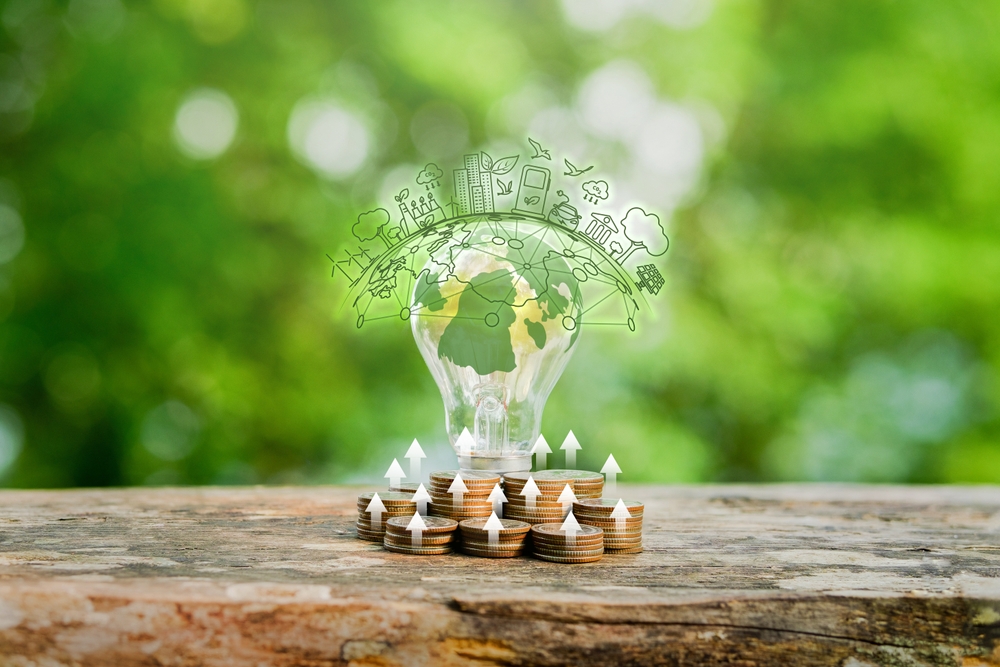 Bilancio di sostenibilità con SAP Green Ledger Bilancio di sostenibilità con SAP Green Ledger