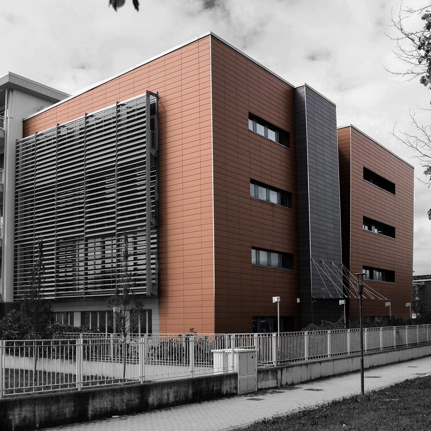 Sede Clarex