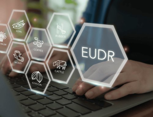 Due Diligence EUDR: come rispettare i passaggi fondamentali