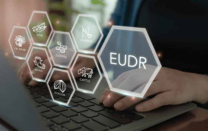 Due Diligence EUDR