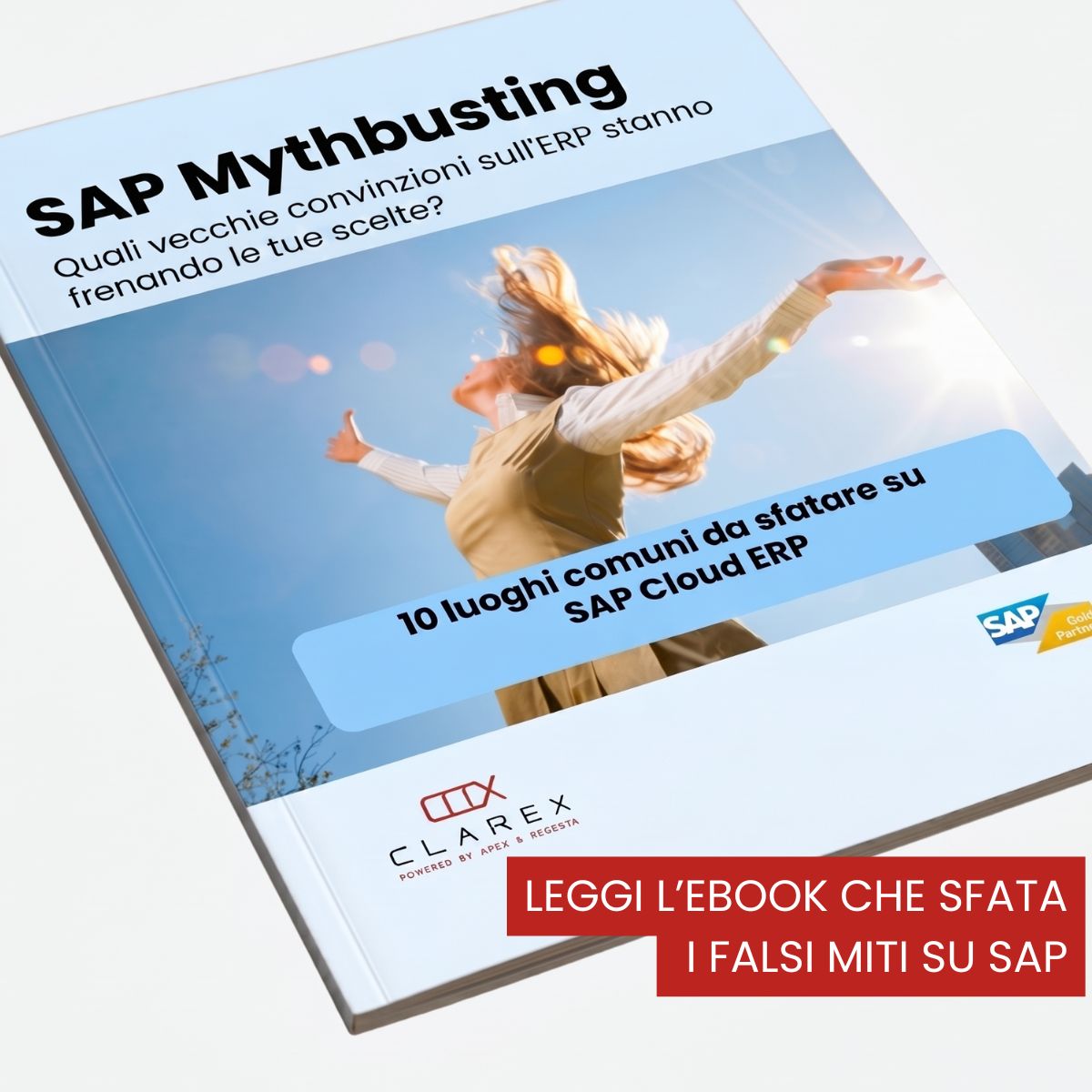 Ebook luohi comuni su sap